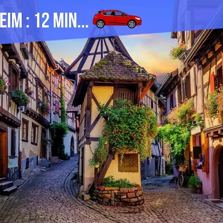 Apartment Le Blue St Leon : 2 Pieces Cozy Lit King Size Wifi Colmar