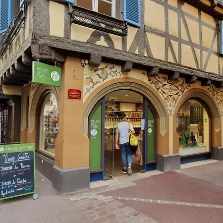 Le Blue St Leon : 2 Pieces Cozy Lit King Size Wifi Apartment Colmar