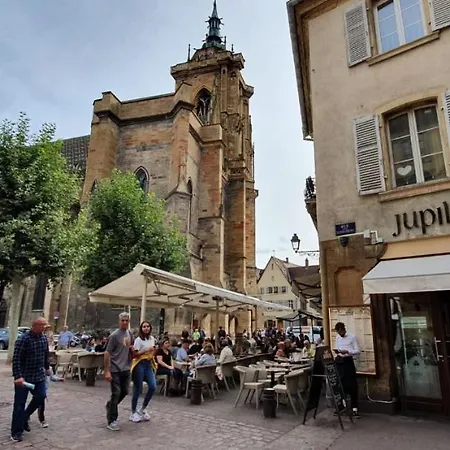 Le Blue St Léon : 2 Pièces Cozy Lit King Size Wifi Appartement Colmar