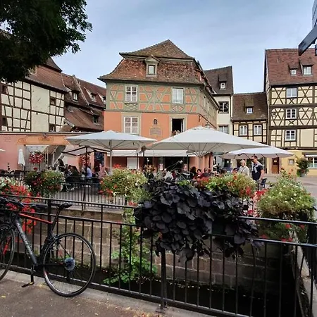 Le Blue St Léon : 2 Pièces Cozy Lit King Size Wifi