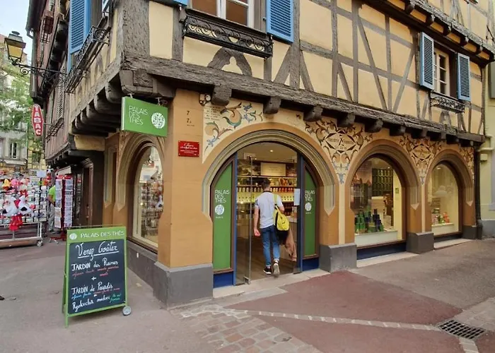 Le Blue St Leon : 2 Pieces Cozy Lit King Size Wifi Διαμέρισμα Κολμάρ